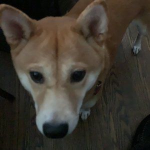 Meet your Posher, Theresa